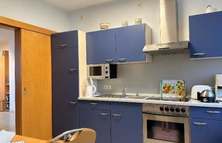 Ferienwohnungen Sonnleite - Foto 50