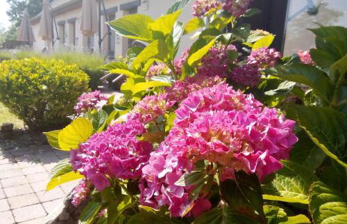 La fermette du Marais - Foto 52