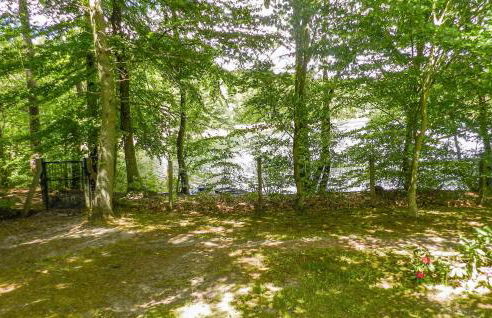 Ferienhaus Boitzenburger Land - Foto 4