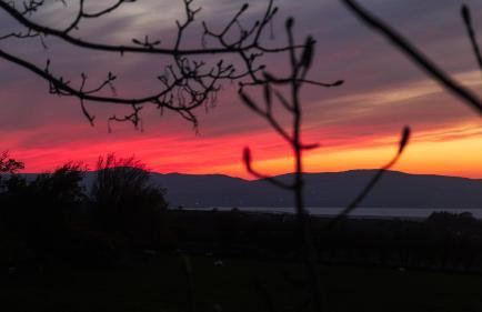 Glebe Barn and Cottage - Photo 32