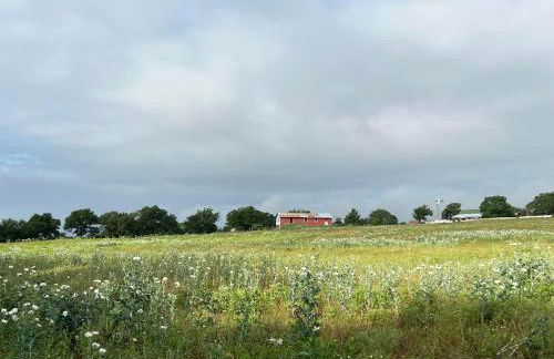 Stay on a 350-acre Cattle Ranch! Brazos River! Tubing! Petting zoo! - Foto 10