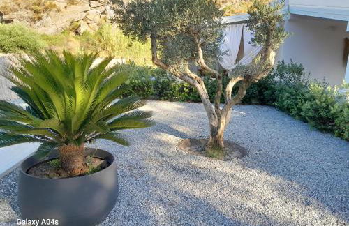 Teia Holiday Apartments - Foto 61