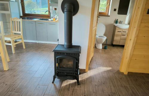 Domki Bieszczadzka Polana - Foto 25