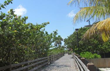 Ocean Blue - Foto 24