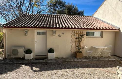 le lavandin - Foto 1