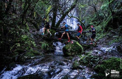 Casa dos Copos - Drinks House - Foto 12