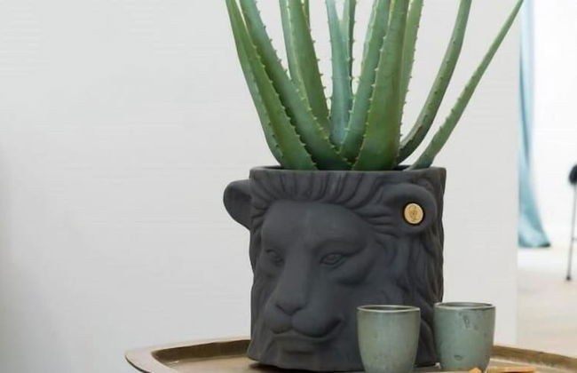 Sphera Bologna, Design Suite under the Two Towers - Foto 59