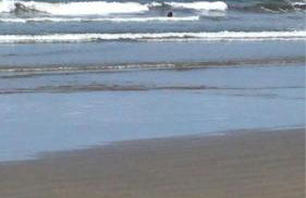 Apartamento na Praia Grande Guilhermina - Photo 26