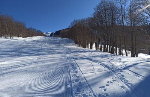 Residence le Polle - Foto 51