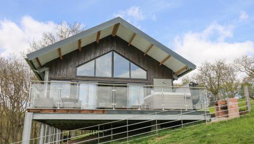 Barcud Coch - Red Kite - Photo 2