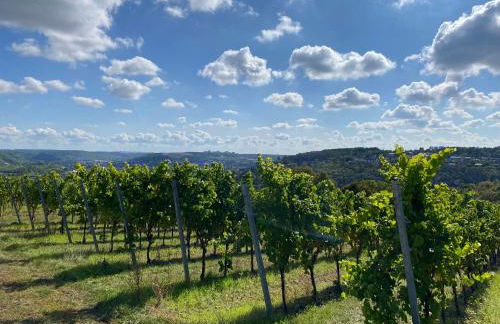 Exklusives Ferienhaus in Top Lage mit Pool, Sauna, Terrasse - Der Johannishof - Foto 54