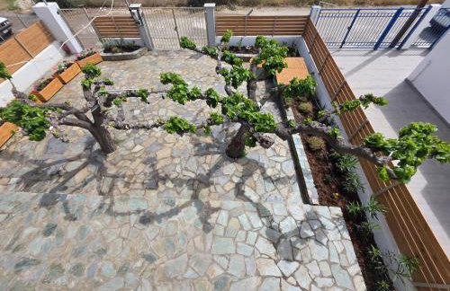 Sea Lilly - Photo 37