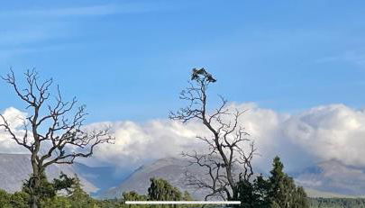 Freedom Lodge-Aviemore with FREE Starlink Superfast broadband 150mbps - All bedding and towels included - Pet Free - Foto 5