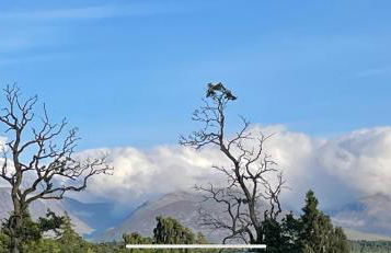 Freedom Lodge-Aviemore with FREE Starlink Superfast broadband 150mbps - All bedding and towels included - Pet Free - Foto 5