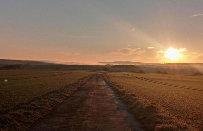 Holiday Home Moselle With Private Sauna - Photo 31