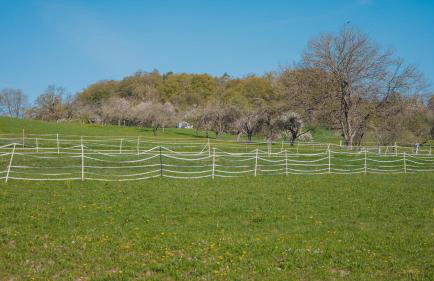 Apartment am Fuchseck - Foto 15