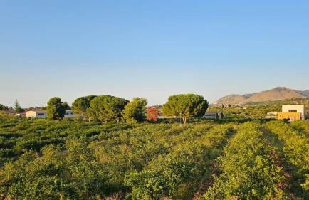 Casale Morillo - Foto 52