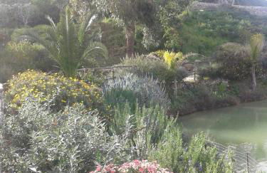 Ciuci's Manor - Foto 41