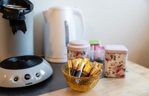 Fe Wo Europa Park - Rulantica-Straßburg - Colmar - Klimaanlage- Wallbox - Foto 43