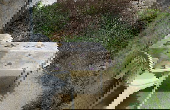 Traditional House With two Apartments - Foto 26