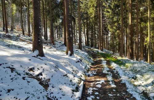 Borówkowa Dolina - Foto 23