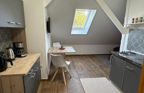 Küstenkännchen - Photo 12