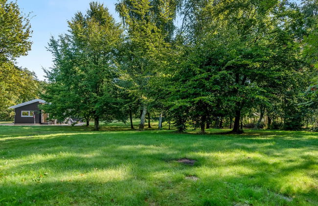 "Barne" - 4km from the sea - Foto 5