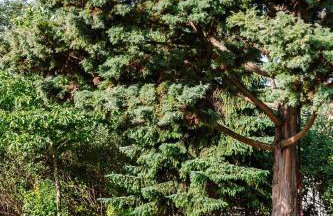 Lavender House - Foto 23