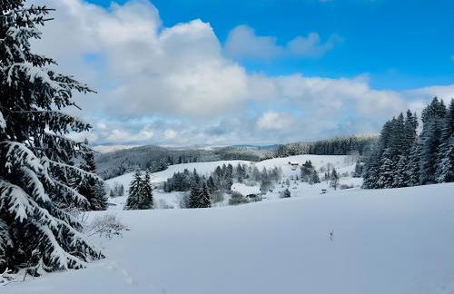 Schwarzwald Nescht Triberg - Foto 21