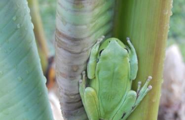 pipowagen Blagour midden in de natuur - Foto 12