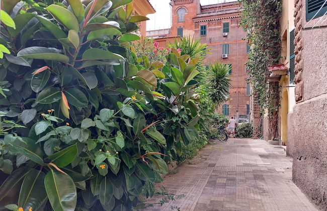 Grazioso bilocale al Vaticano - Foto 55