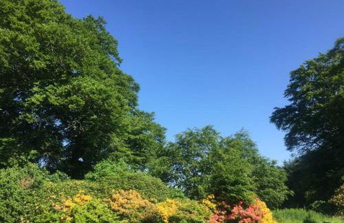 Willow Cottage, Gilchristland Organic Farm - Foto 14