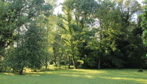 Les bleuets, Fermette Picarde avec grand jardin - Foto 5, Garden, Garden view