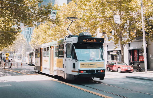 Melbourne Free Walking Tour - Photo 2