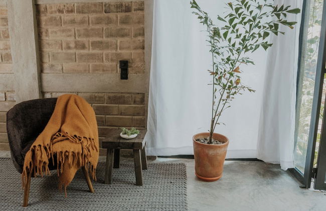 San Marcos Properties - Foto 64