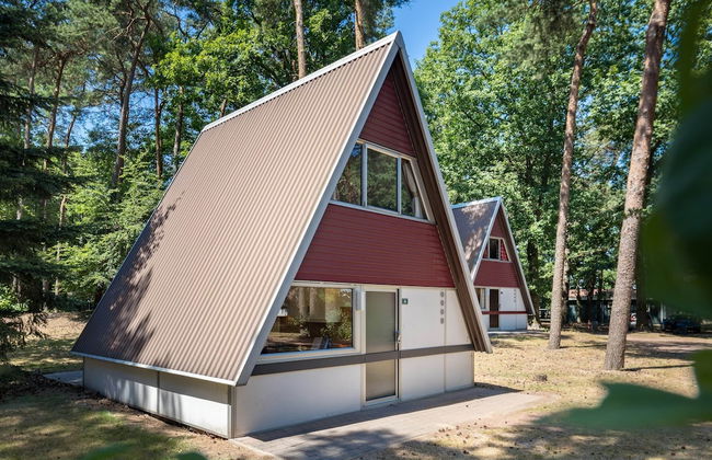 Bungalow in Bospark 't Wolfsven Near Nature - Photo 1