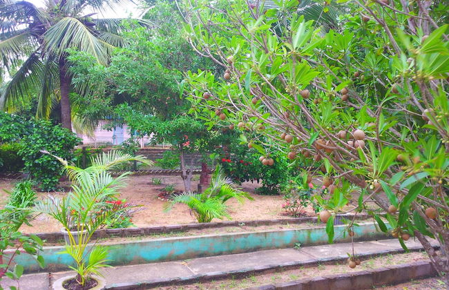 Daaven's Island Resort - Photo 28