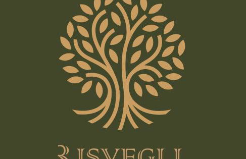 Risvegli - Foto 2