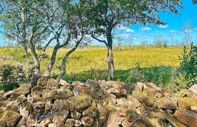 5 Person Holiday Home in Borgholm-by Traum - Foto 2