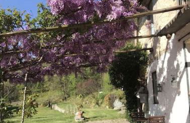 Country house - Foto 27