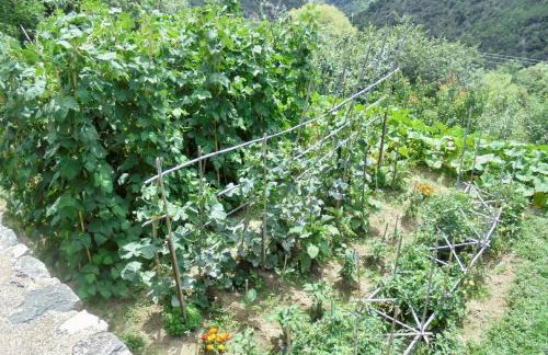 Periklis Guesthouse Anavriti. - Foto 34