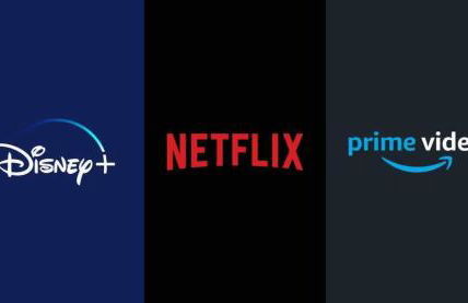 Appartement cosy proche Roissy CDG Astérix DisneyLand Paris - Foto 19