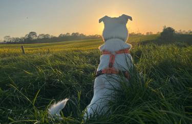 Apartment Grüne Welle - Foto 24