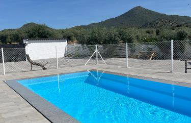 El Gallinero - Foto 47