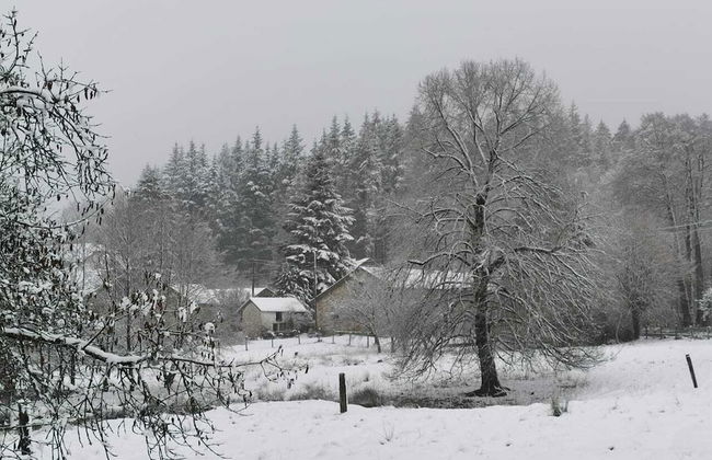 Forest-edge Stay, Burtonville - Photo 39