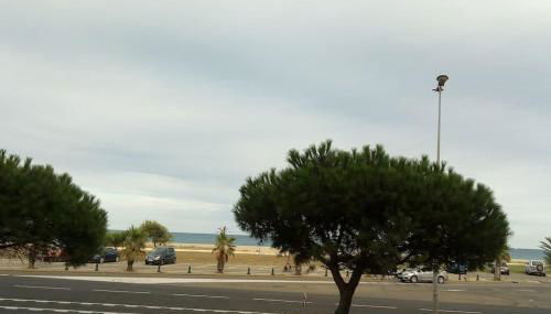 T3 tout confort en front de mer, clim - Photo 5