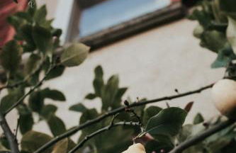 La Maison Perchée - Foto 44