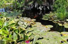 Mas provençal authentique XXL avec grande piscine, terrain de pétanque et parc privé - Foto 28