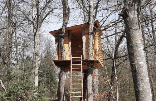 Gîte en pleine nature avec Wifi, animaux acceptés - FR-1-489-122 - Foto 33