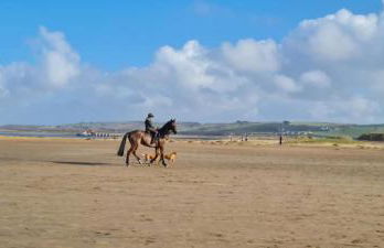 Charming cottage in Pilton-newly renovated - Foto 15